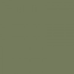 Verbazingwekkend portemonnee strelen Zijdepapier - Olijf groen - PMS 7762/574 - Premium - 50x75 cm | Paco  Verpakkingen